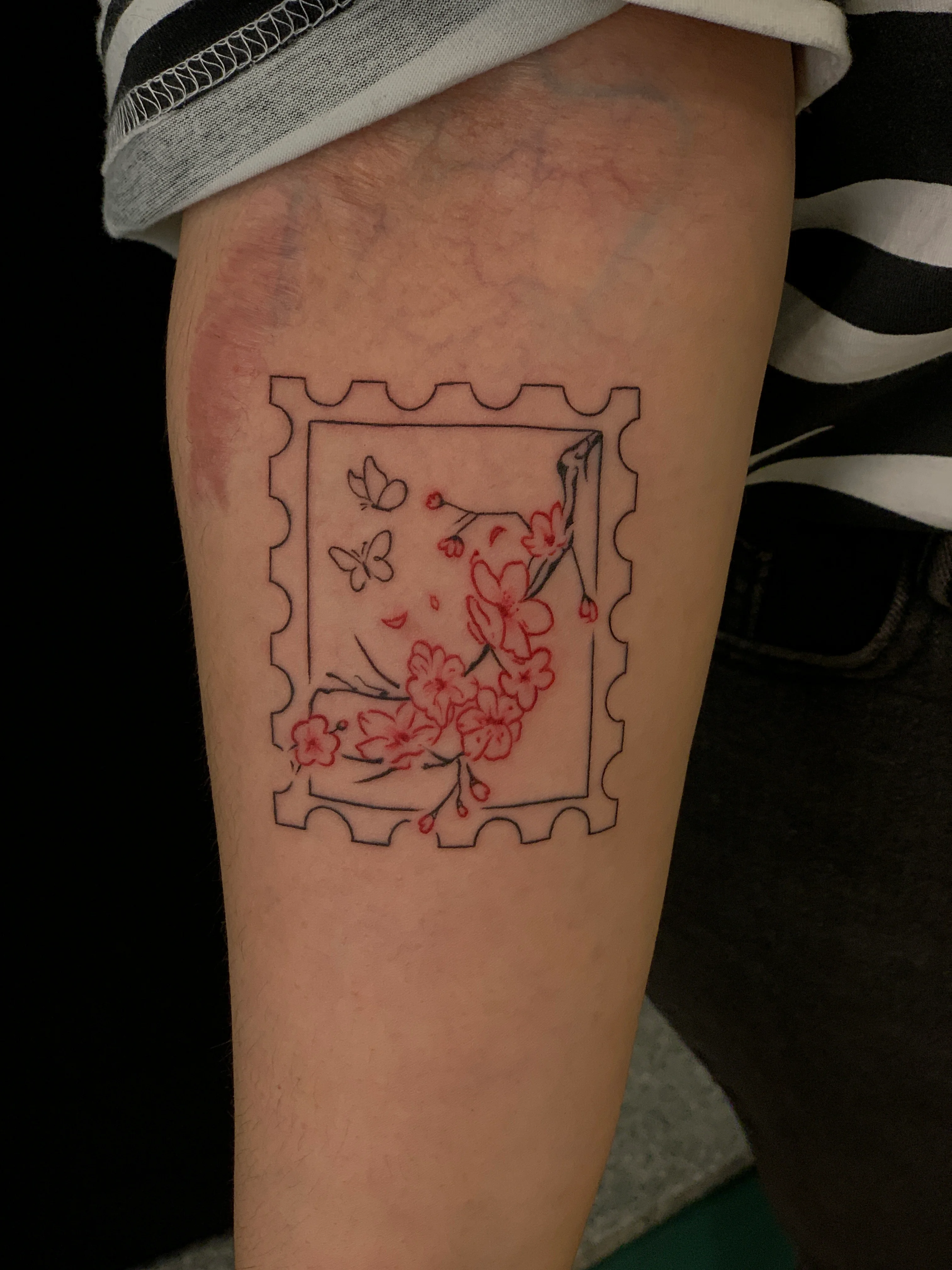 Colorful Frame Flower